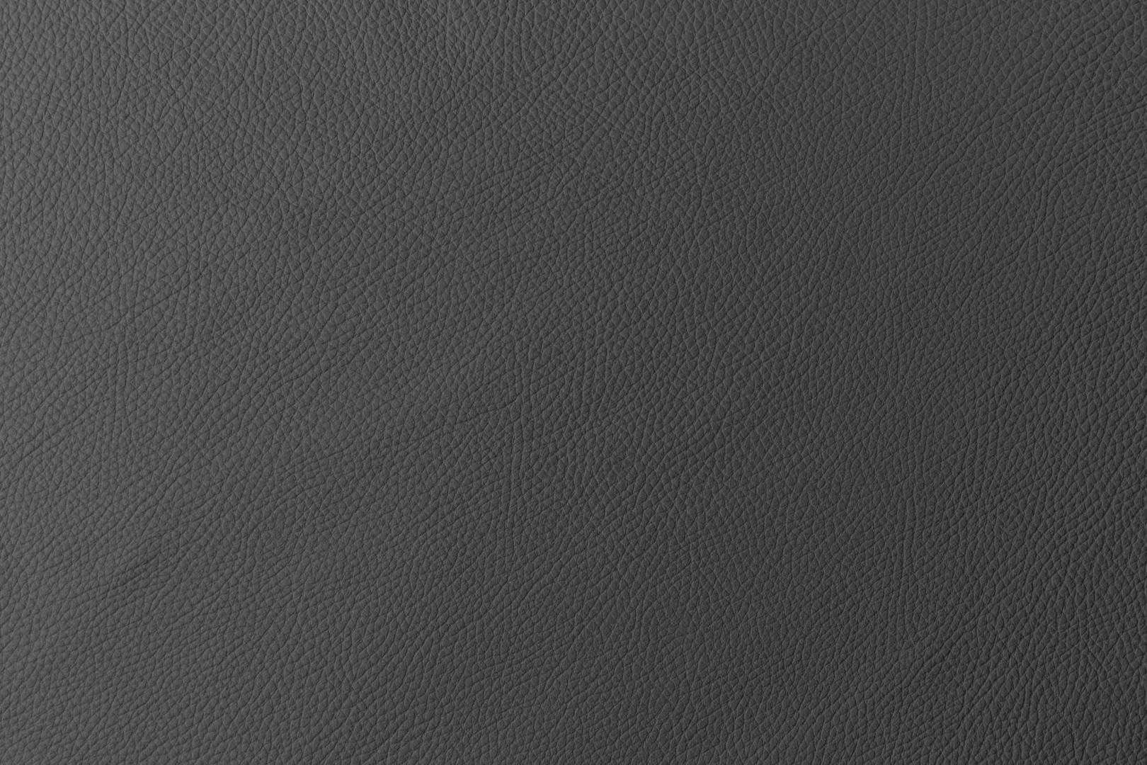 Lederausstattung Grigio